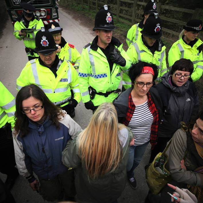 Barton Moss Photo: Claire Mckenna